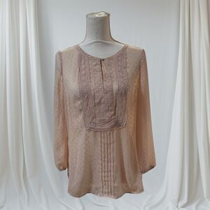 DANIEL RAINN Women's Size M Bohemian Blush Pink Swiss Dot High Low Sheer Blouse